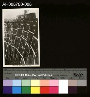 藏品(日治阿里山鐵道橋梁明信片)的圖片